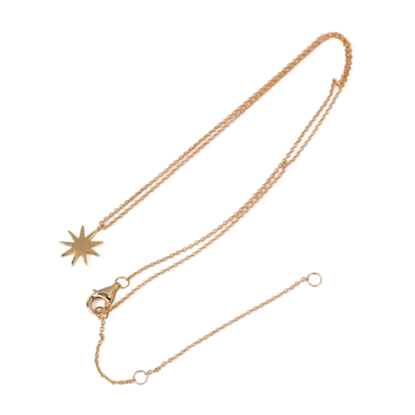 Gold star pendant necklace with delicate chain and adjustable clasp, perfect for stylish everyday wear and gift-giving.